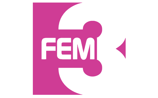 fem3